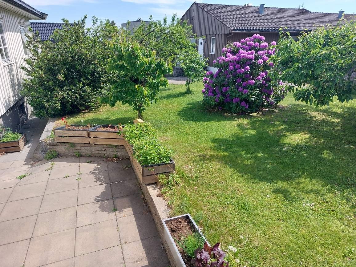 Selgers bilder av den frodige og flott beplantede hagen. Galleribilde