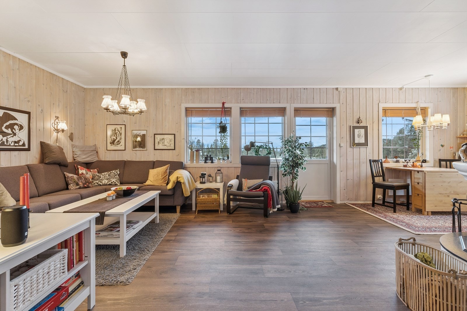 Store vindusflater slipper inn rikelig med dagslys og gir utsikt mot naturen. Galleribilde