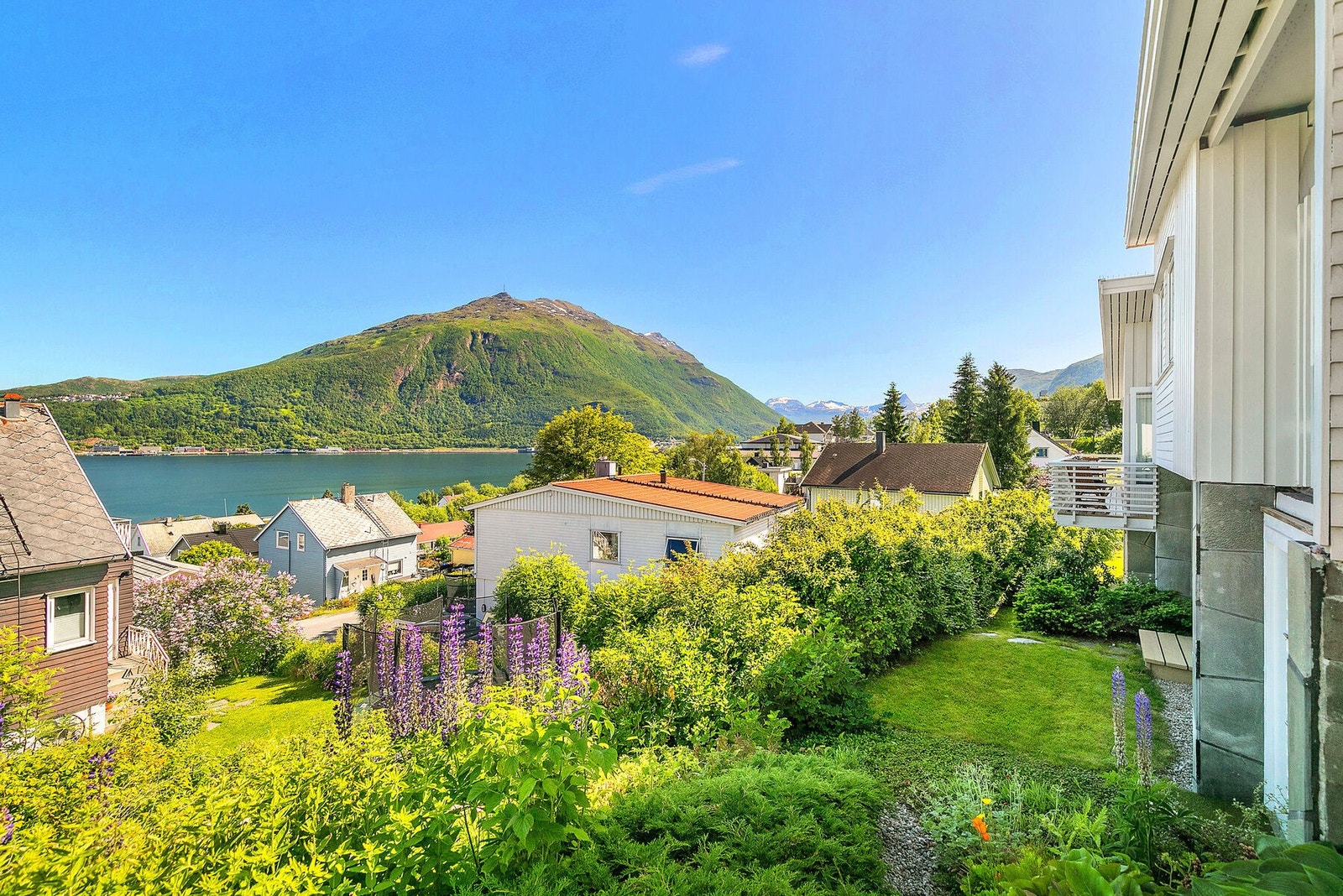 Utsikt mot Fagernesfjellet Galleribilde