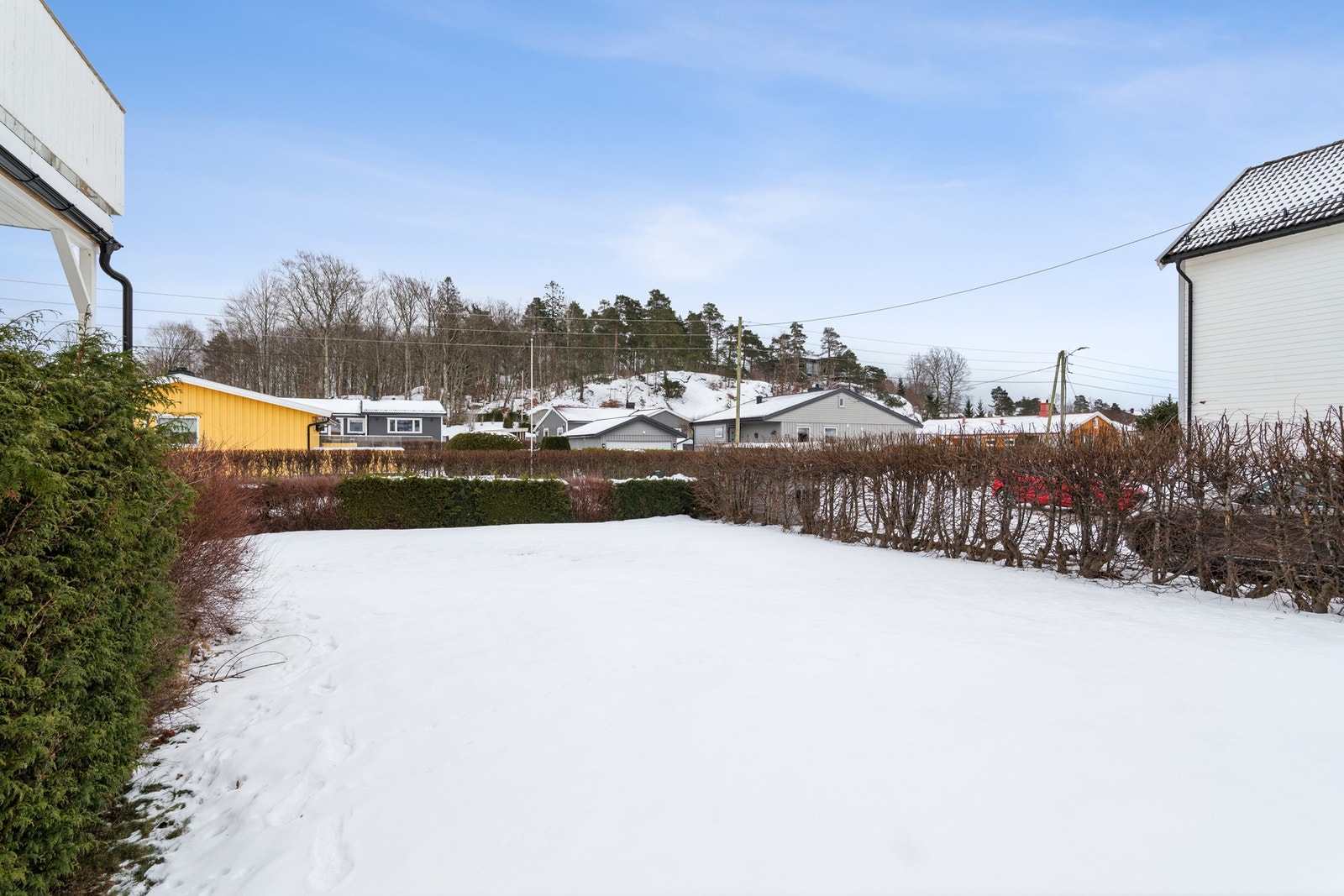 Felles hage for beboerne i borettslaget. Galleribilde