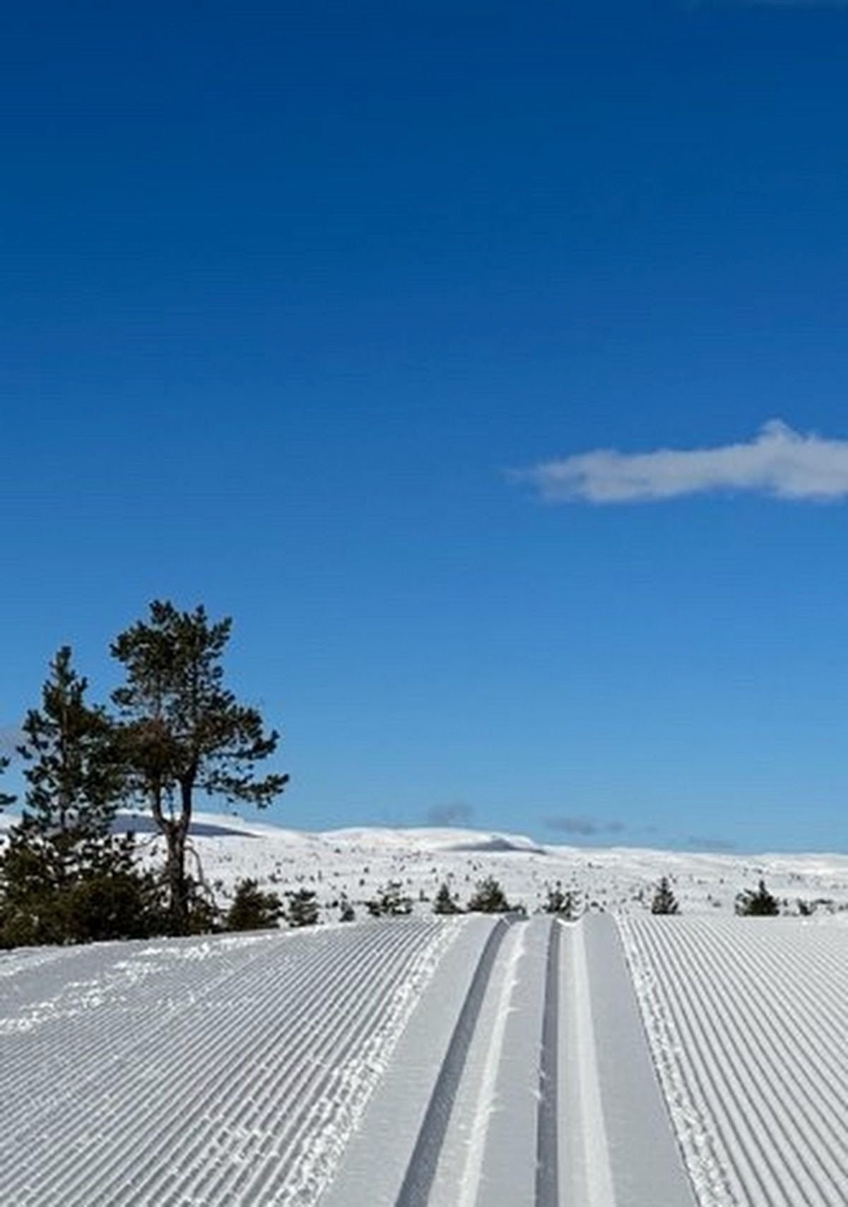 Omfattende løypenett som strekker seg over hele Blefjell. Galleribilde