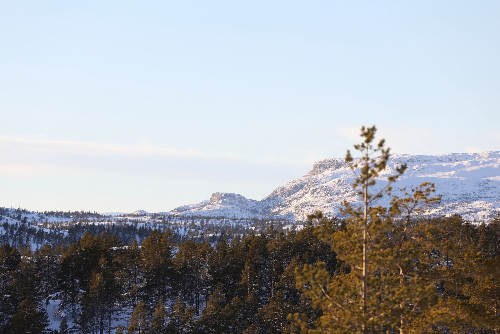 Gaustatoppen ses i det fjerne. Galleribilde