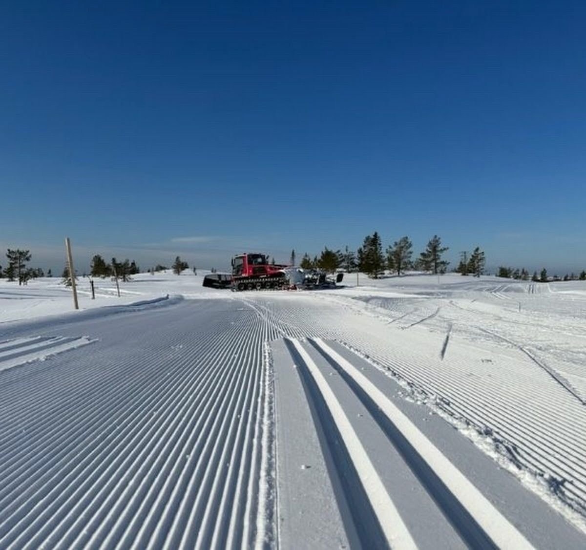 Umiddelbar nærhet til skiløyper. Ble-Høgda har egen løypemaskin som sørger for 4 felter med trikkeskinner og skøytespor. Galleribilde