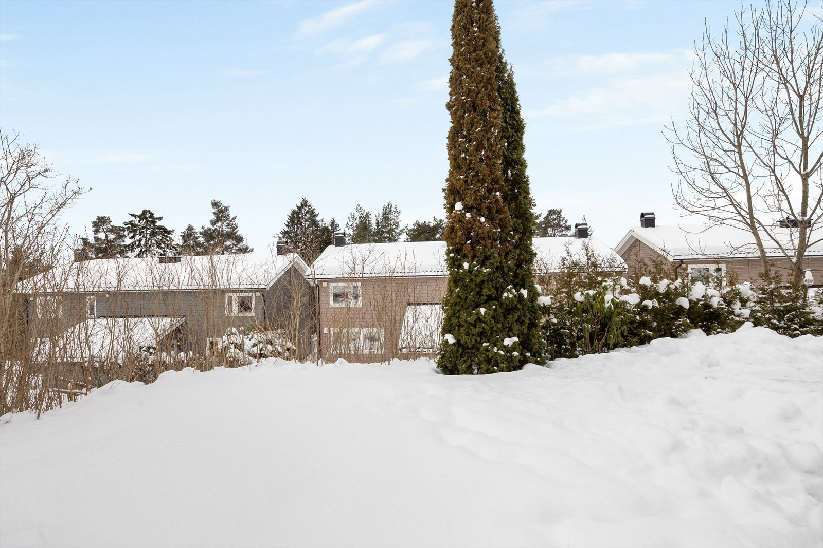 Videre er det direkte adkomst til disponibelt hageområde Galleribilde