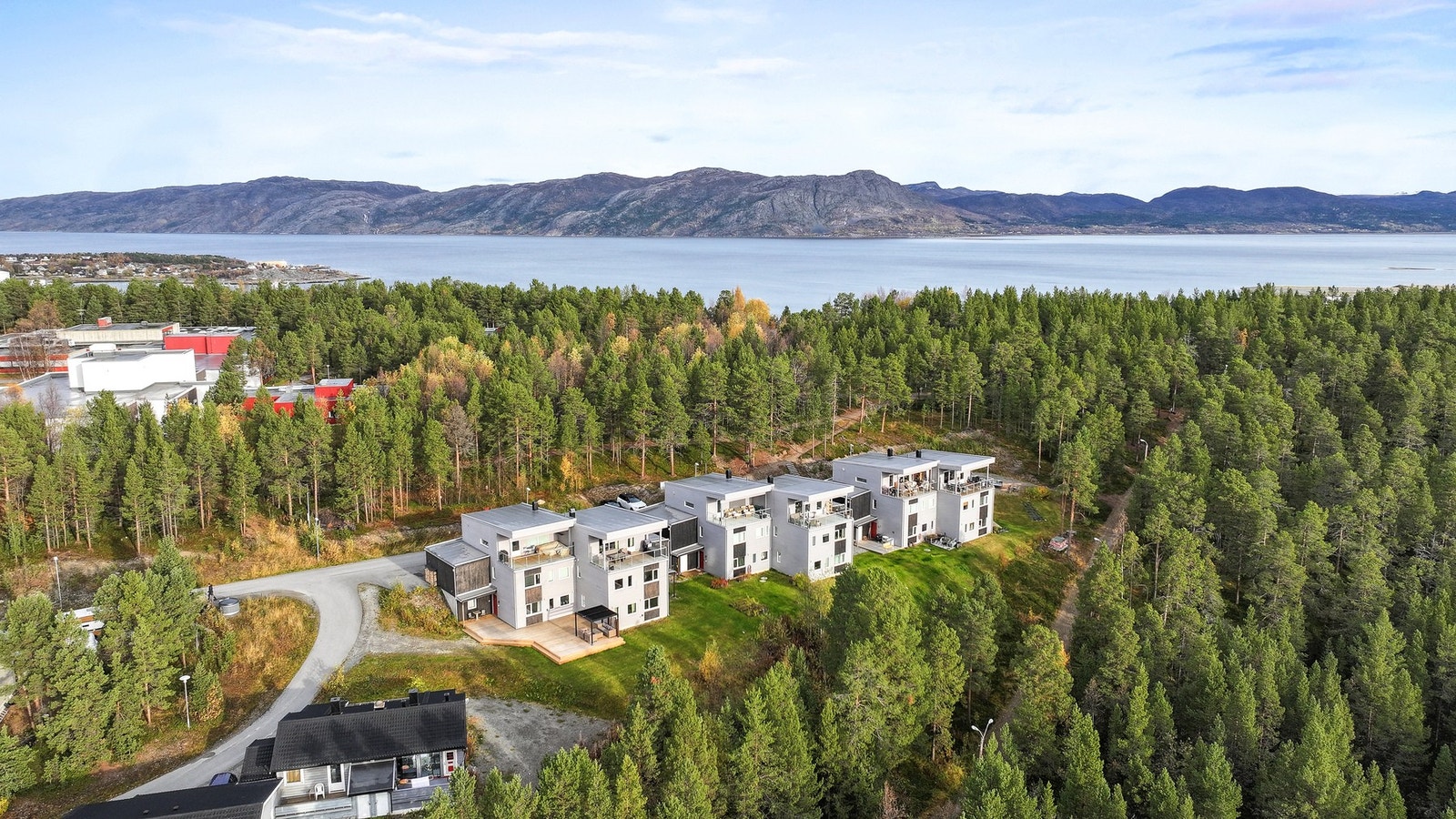 Velkommen på visning Galleribilde