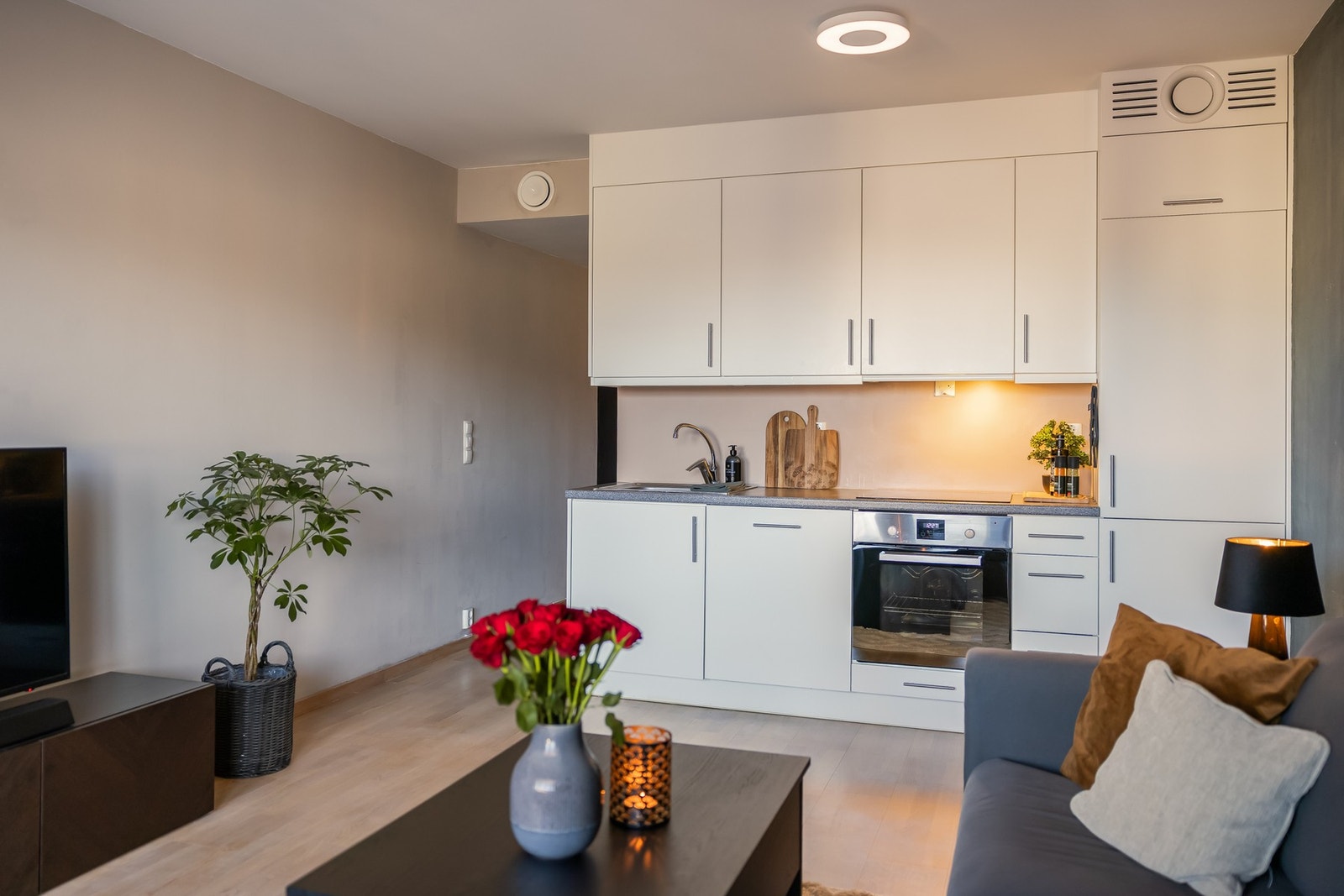 Kjøkkenet er utstyrt med kombiskap, oppvaskmaskin, stekeovn, platetopp og ventilator, rør-i-rør system, lekkasjevakt og komfyrvakt. Galleribilde