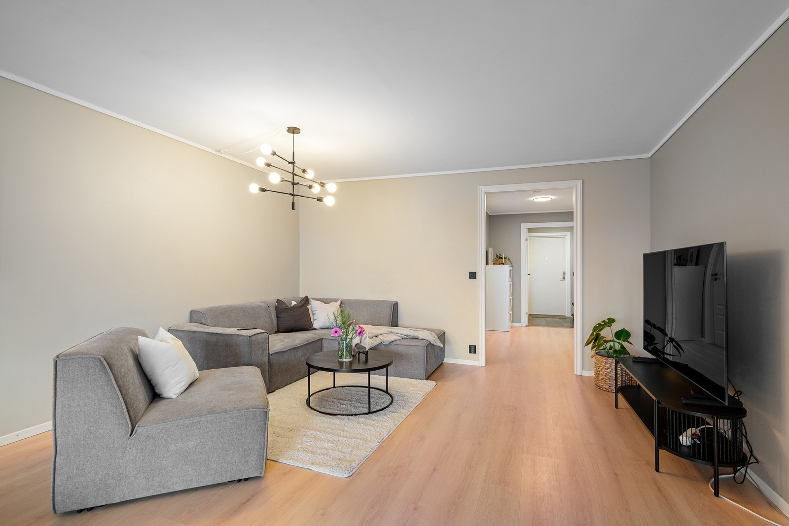 TV stue Galleribilde