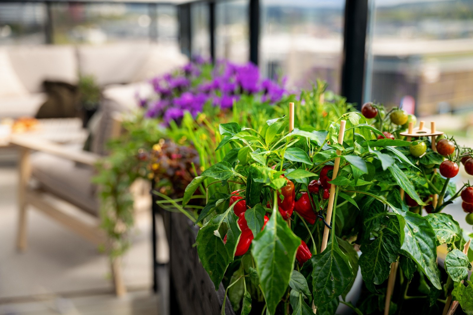 Det er til og med rom for å skape sin egen lille stasjon for dyrking av grønnsaker for de med grønne fingre! Galleribilde