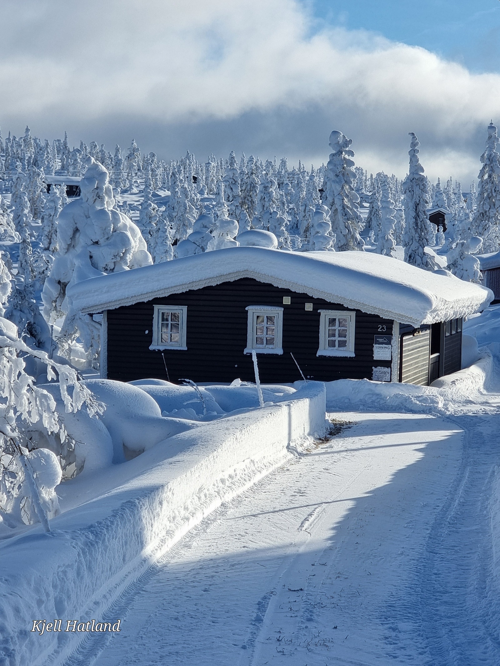 Bilveg helt inn til inngangen. Galleribilde