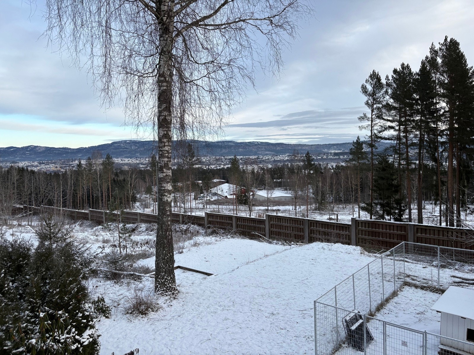 Selgers bilde Galleribilde