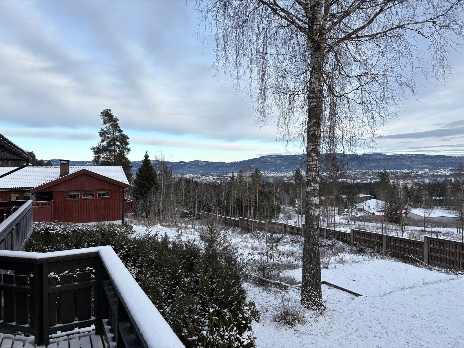 Selgers bilde Galleribilde