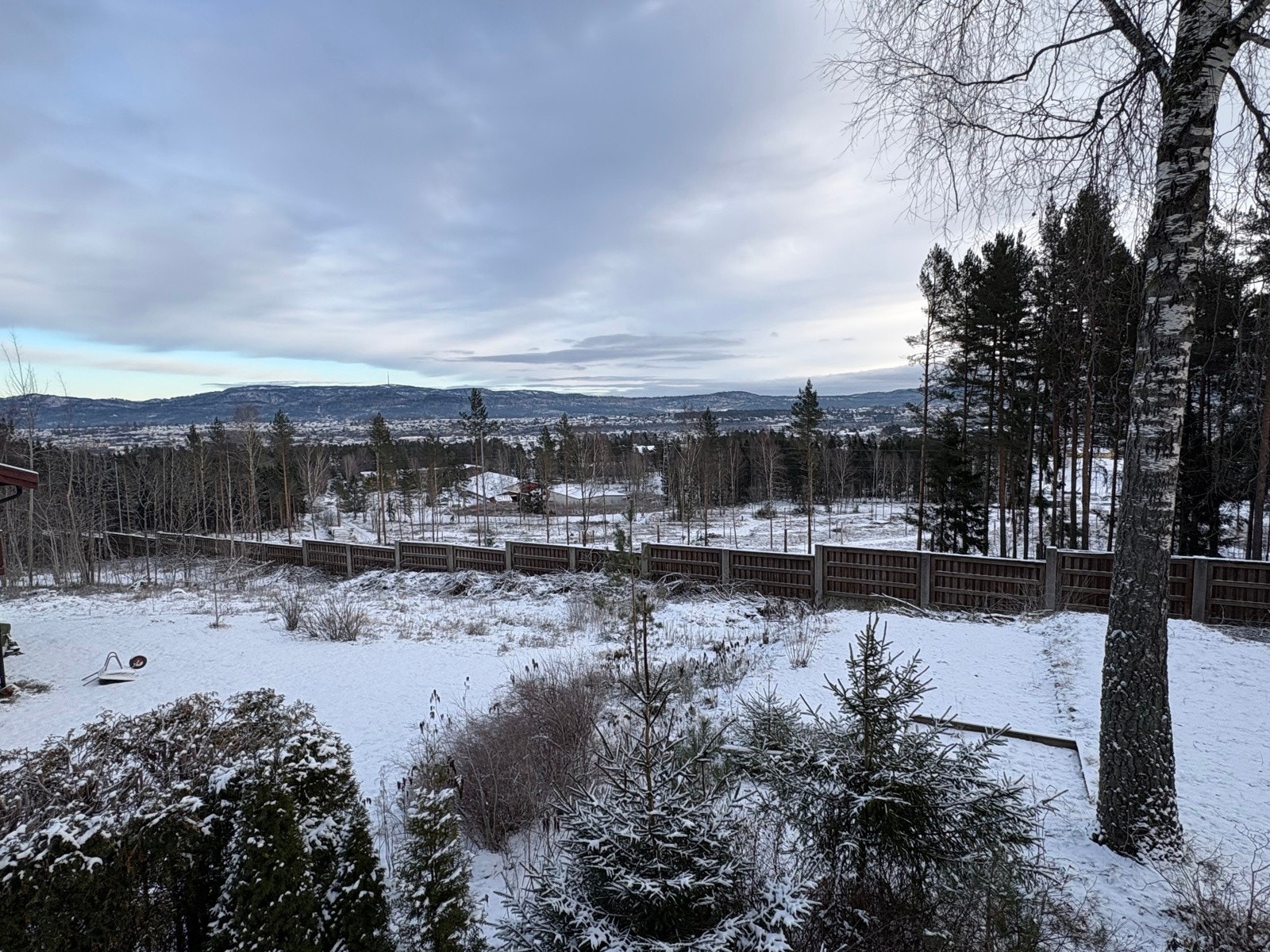 Selgers bilde Galleribilde