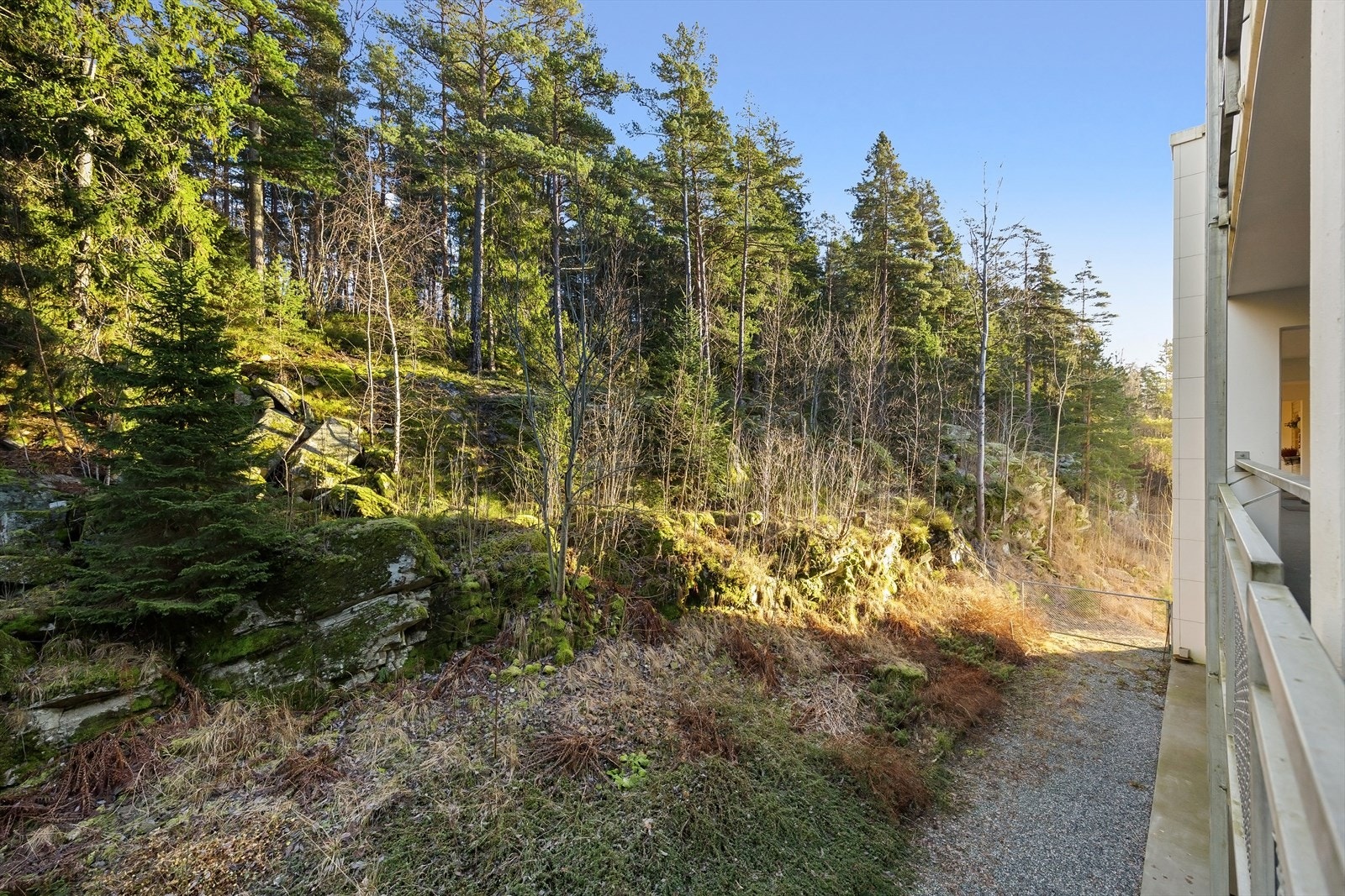 Inngangsparti vendt mot rolige og grønne omgivelser. Her kan morgensola nytes. Galleribilde