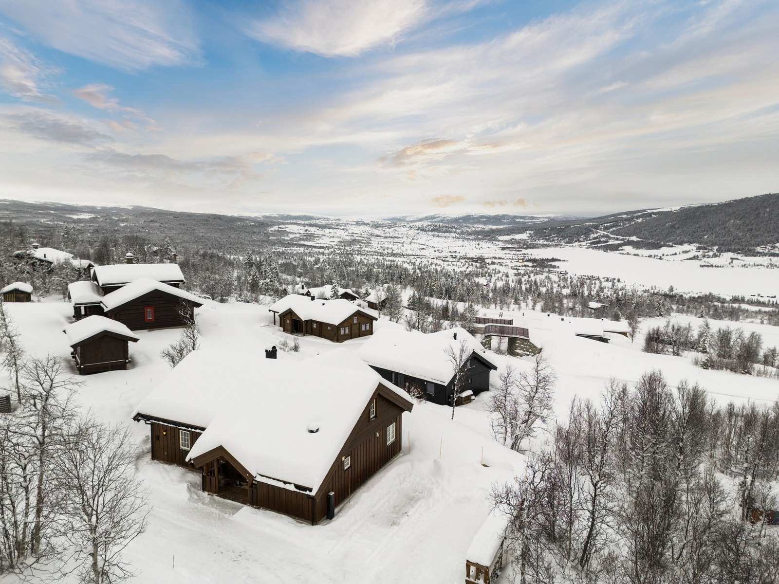 Velkommen til visning! Galleribilde