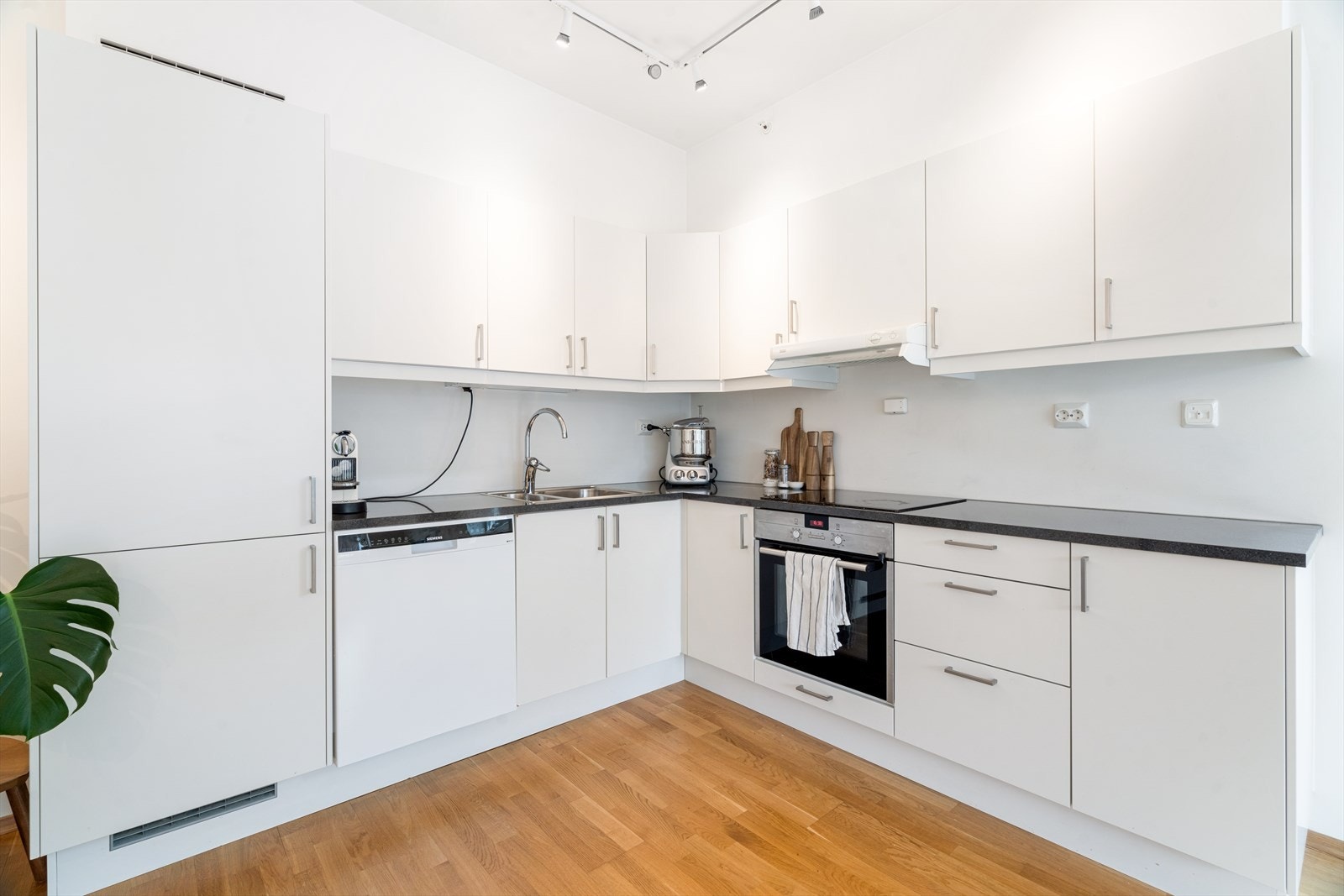 MNF05458.jpg Galleribilde