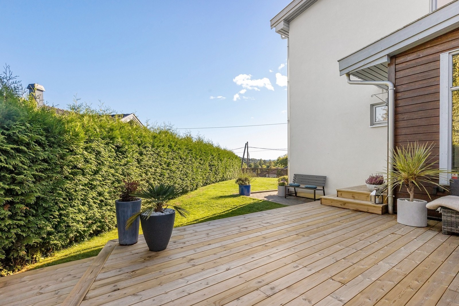 Sommerbilde av terrasseplatting utenfor inngangsparti. Galleribilde