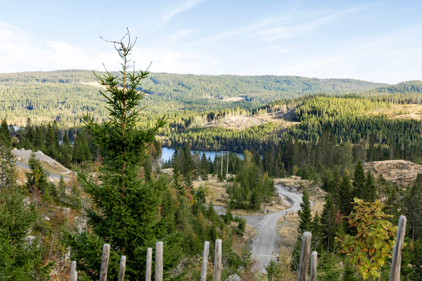Hytta er omgitt av stille natur. Galleribilde