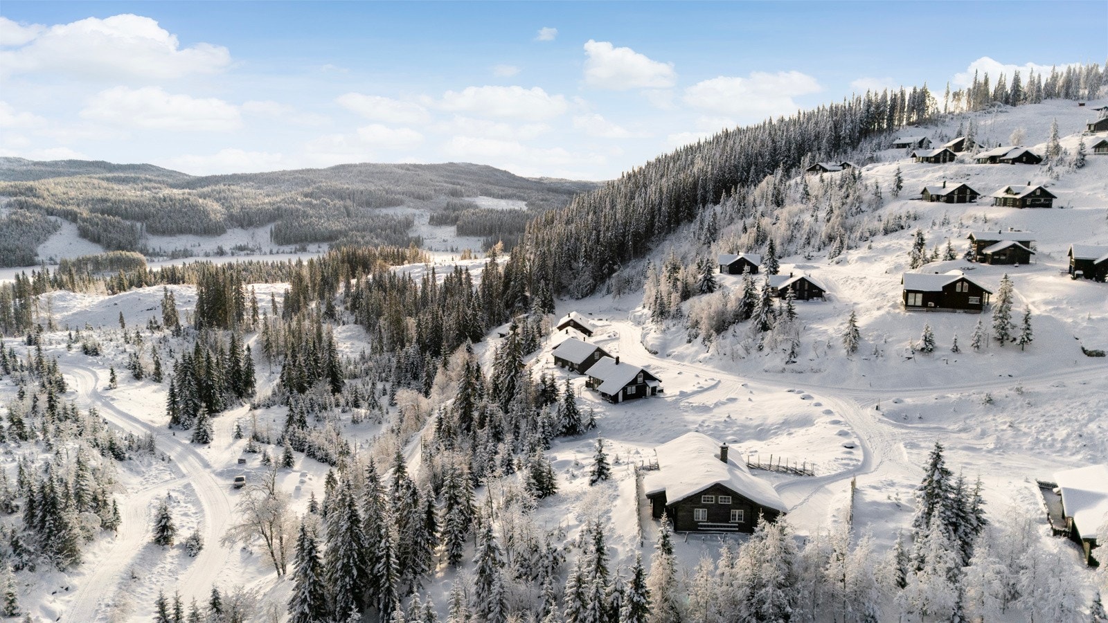 Område Galleribilde