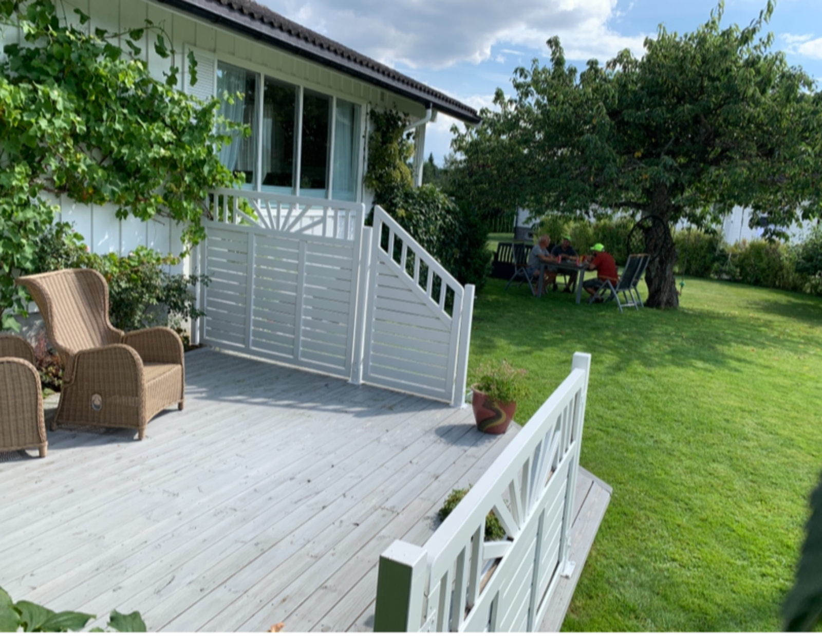 Sommerbilde fra selger Galleribilde