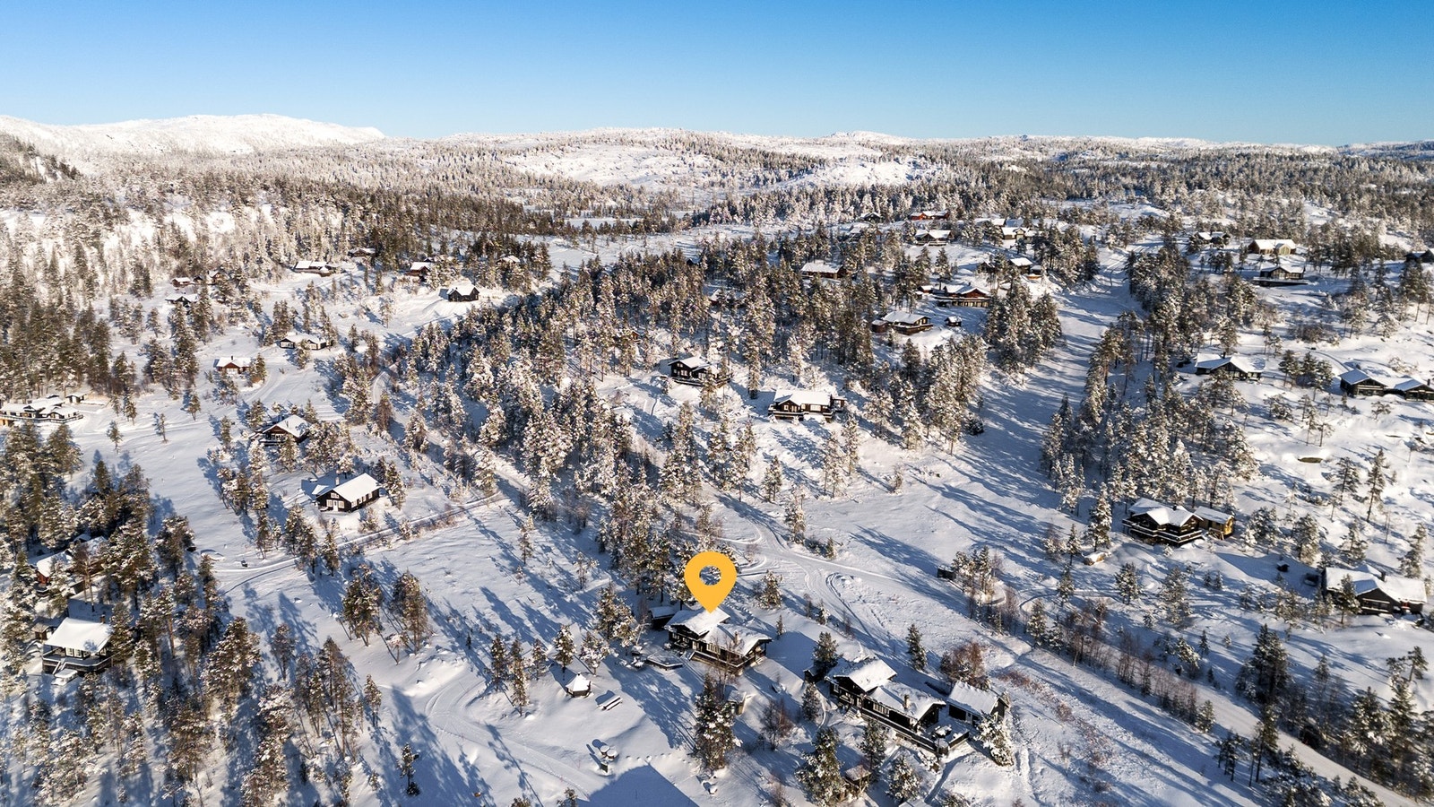 Velkommen til visning! Galleribilde