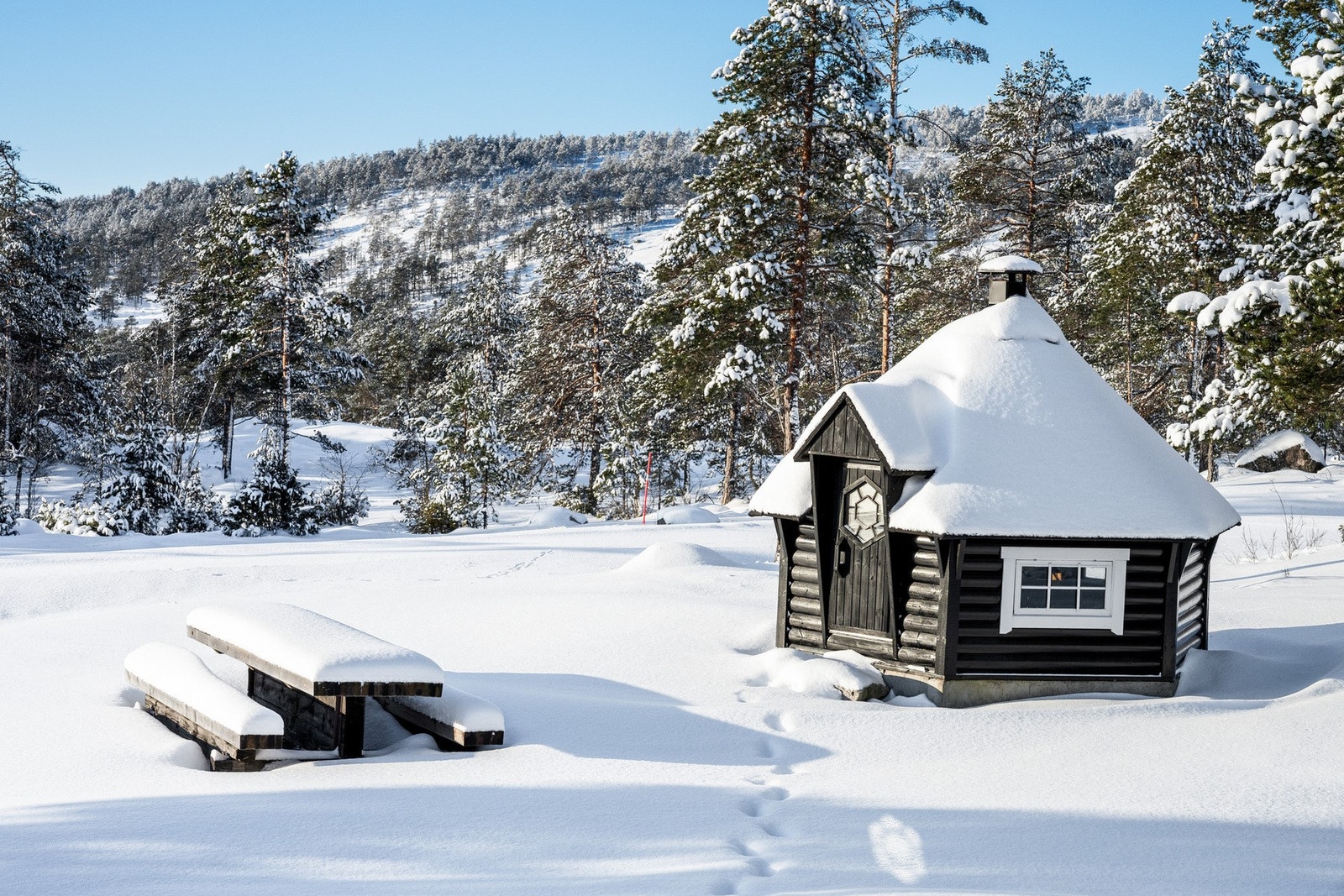 Egen grillhytte med badstue - et unikt samlingspunkt for hygge, avslapning og helårskos. Galleribilde