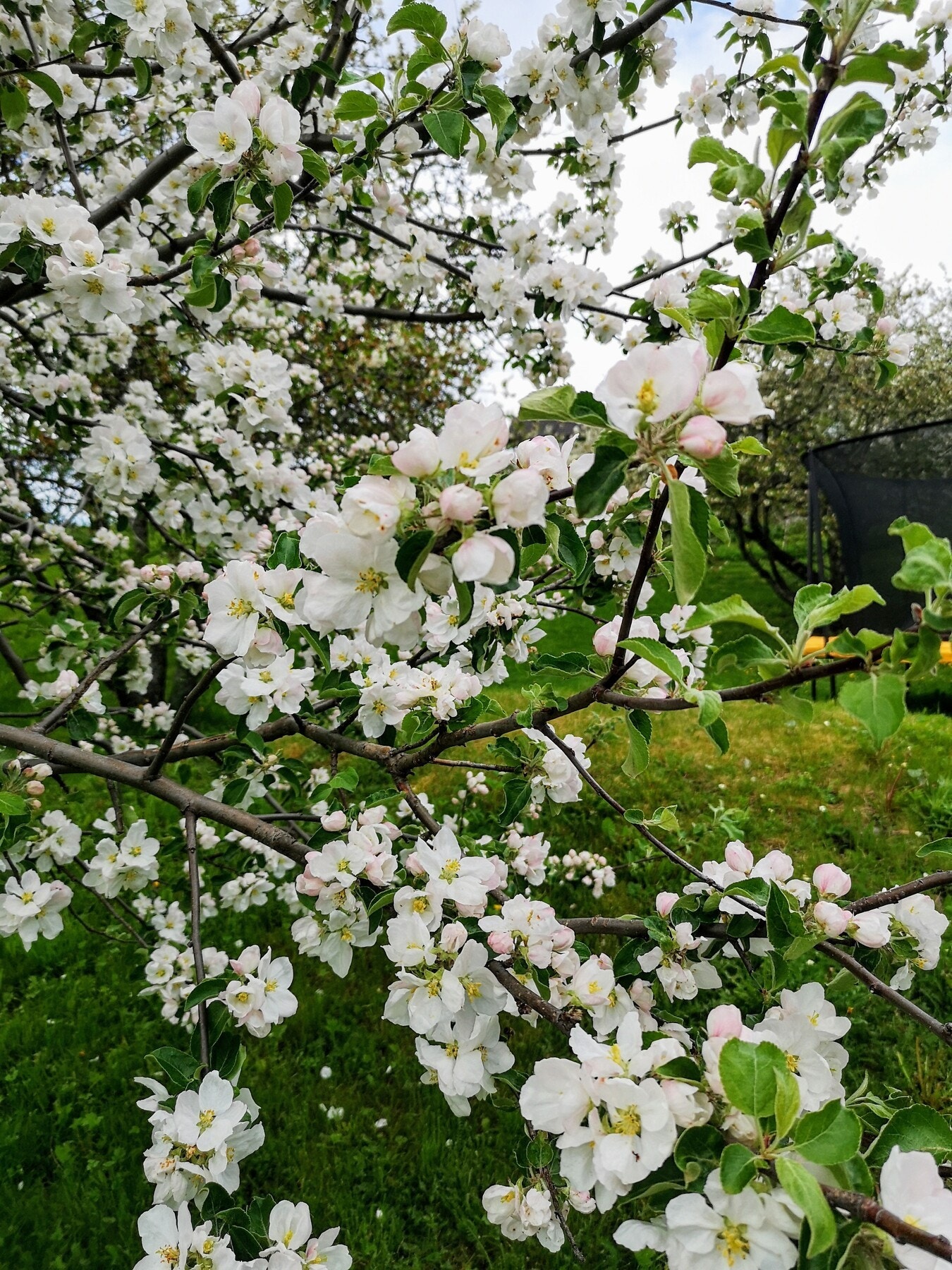 Privat bilde fra selger. Galleribilde