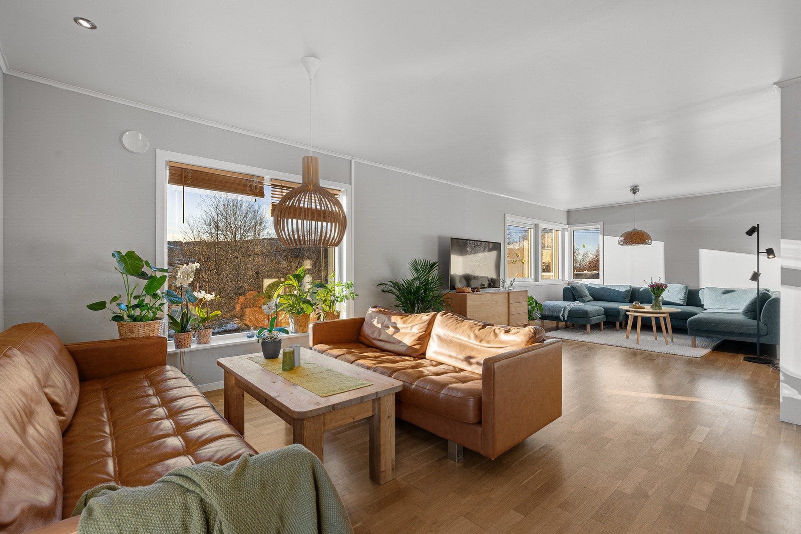 Flere naturlige innrednings seksjoner i rommet. Galleribilde