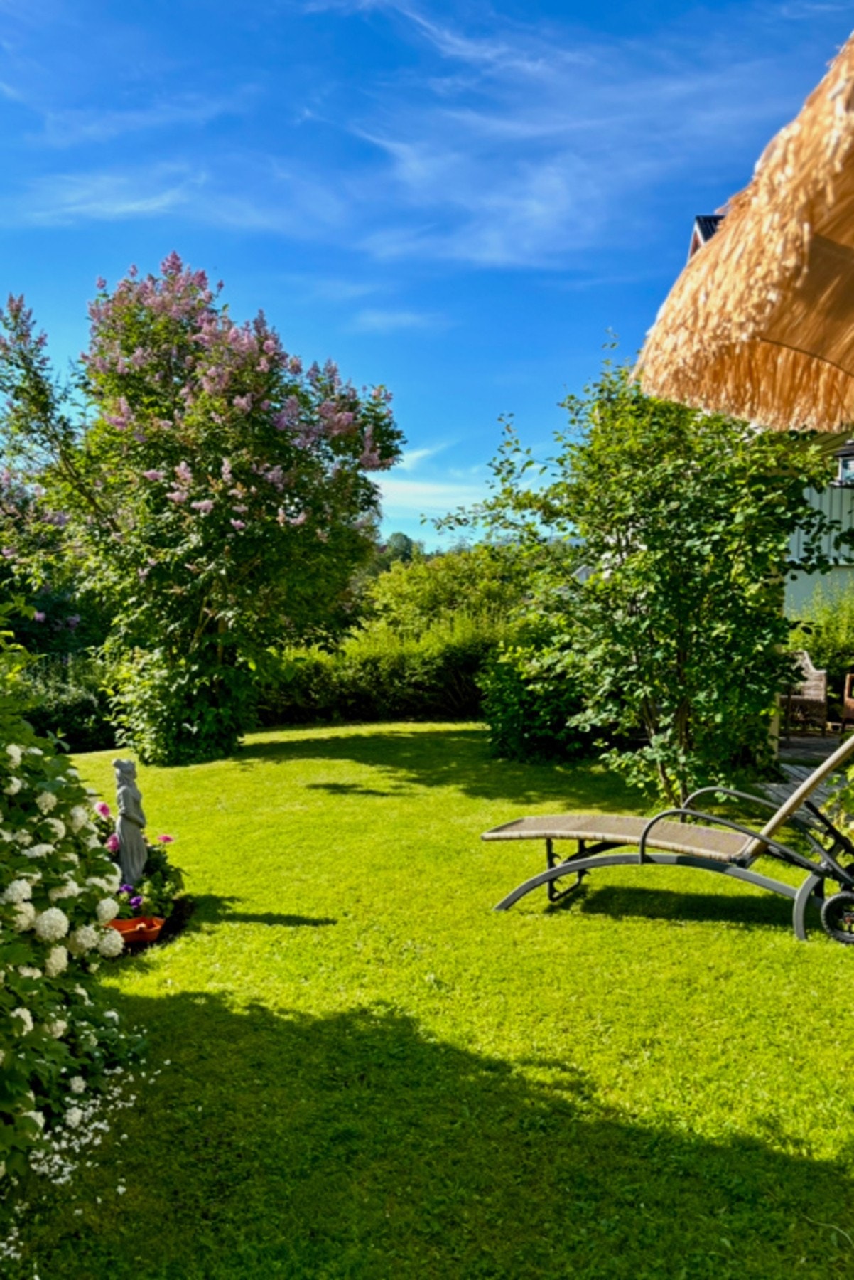 Sommerbilder! Galleribilde