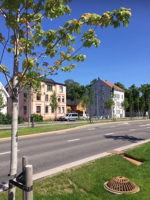 Fasade Bjørnstjerne Bjørnsons gate Galleribilde