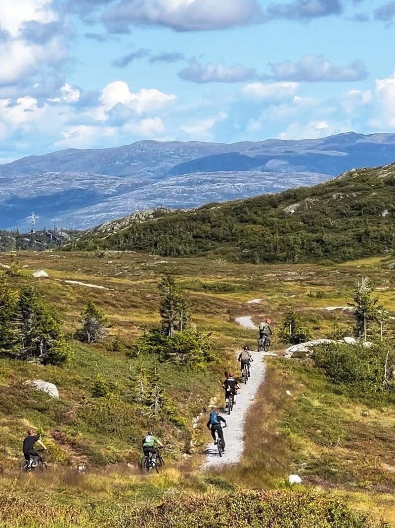 Sykkelstier Galleribilde