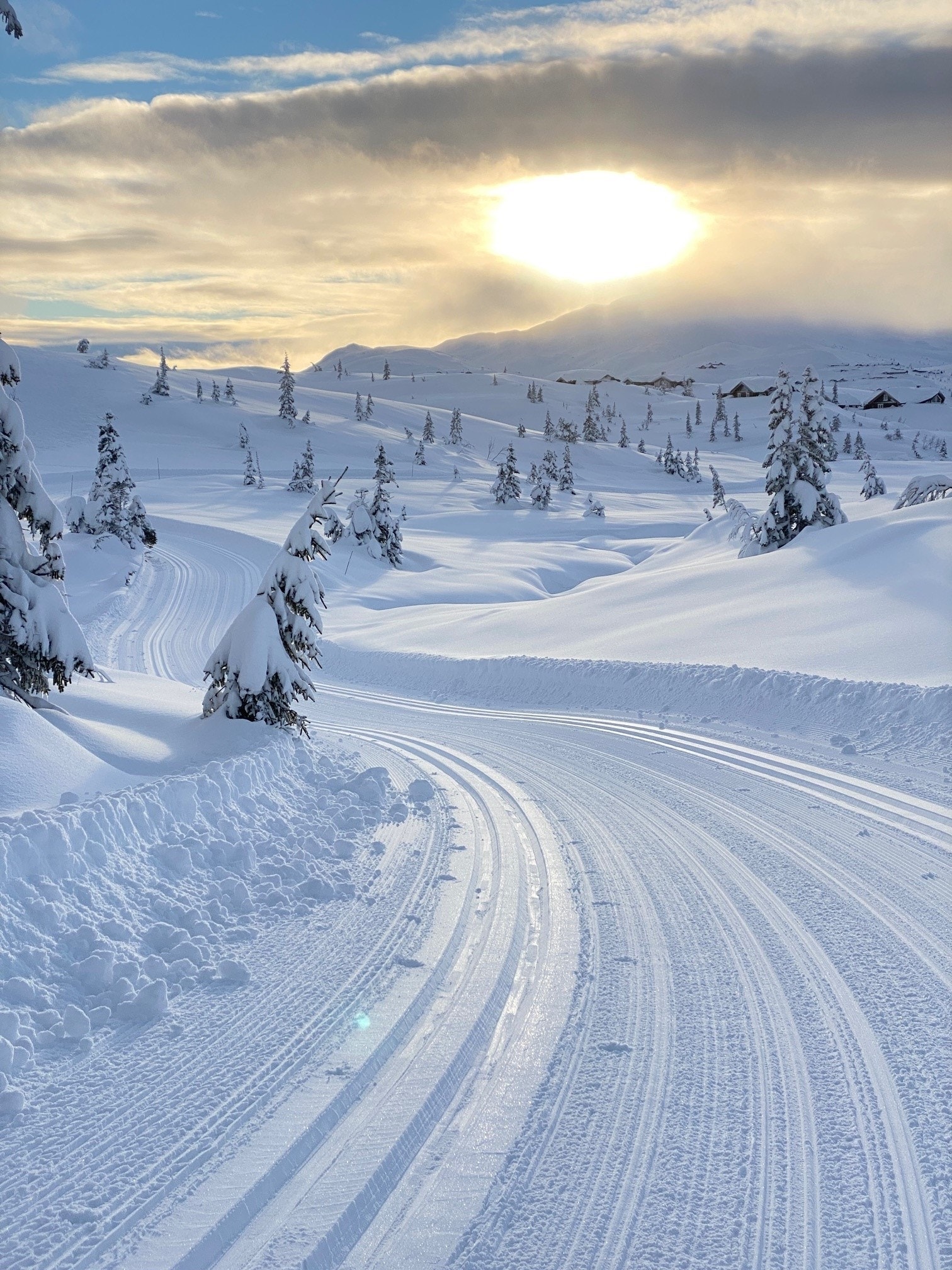 Milevis med skiløyper Galleribilde