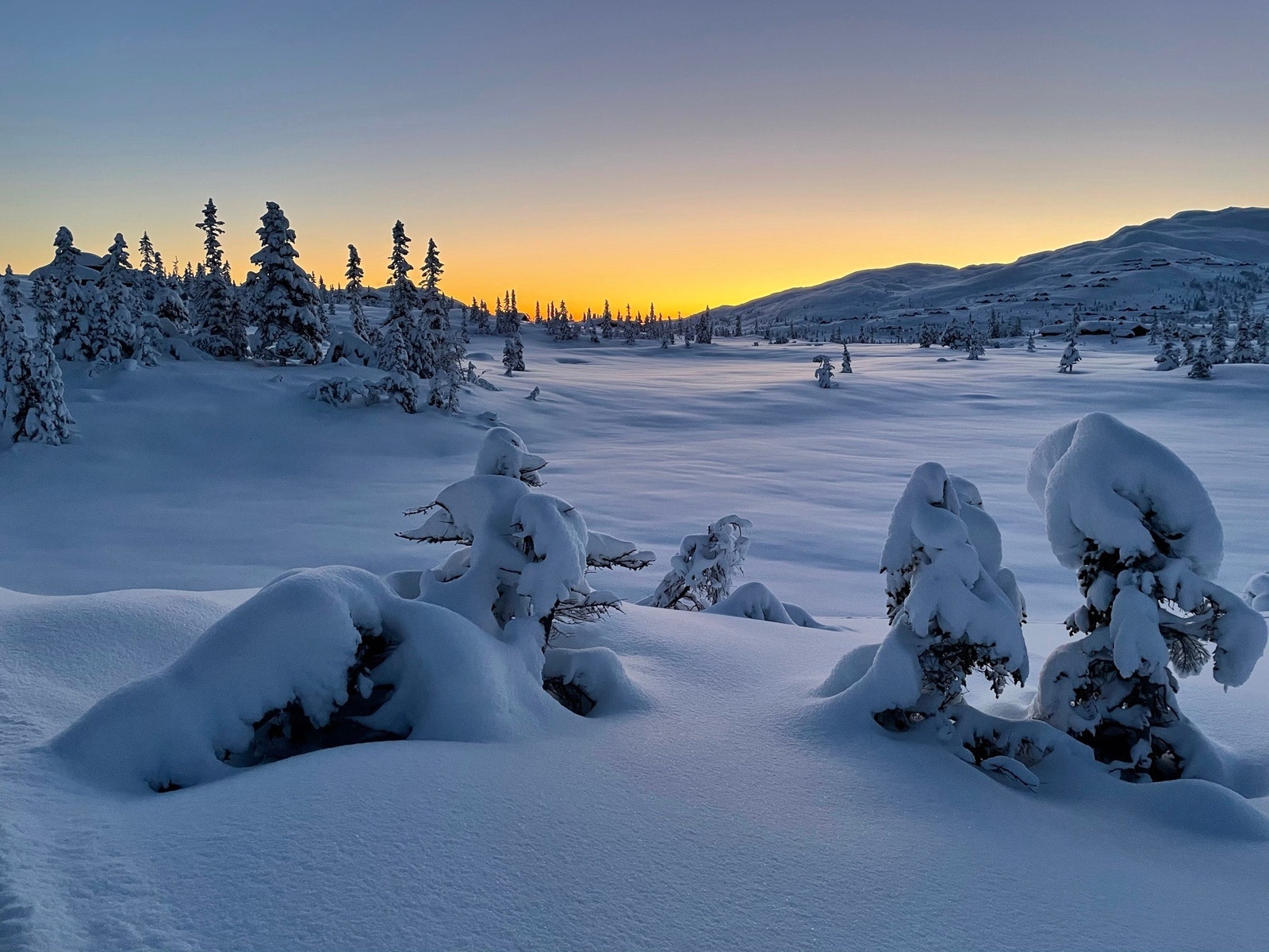 Skitur i soloppgang Galleribilde
