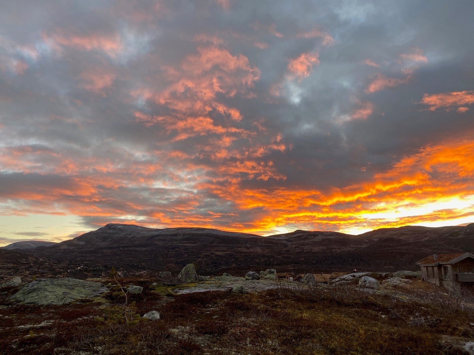 Tomten i solnedgang Galleribilde
