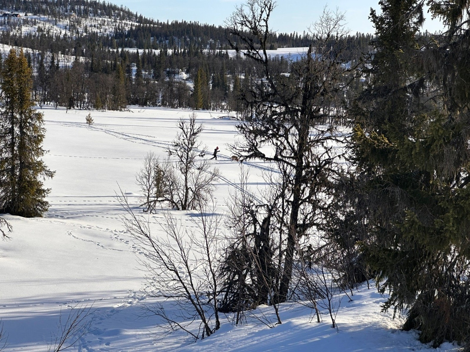 Vinterbilde fra selgers arkiv. Galleribilde