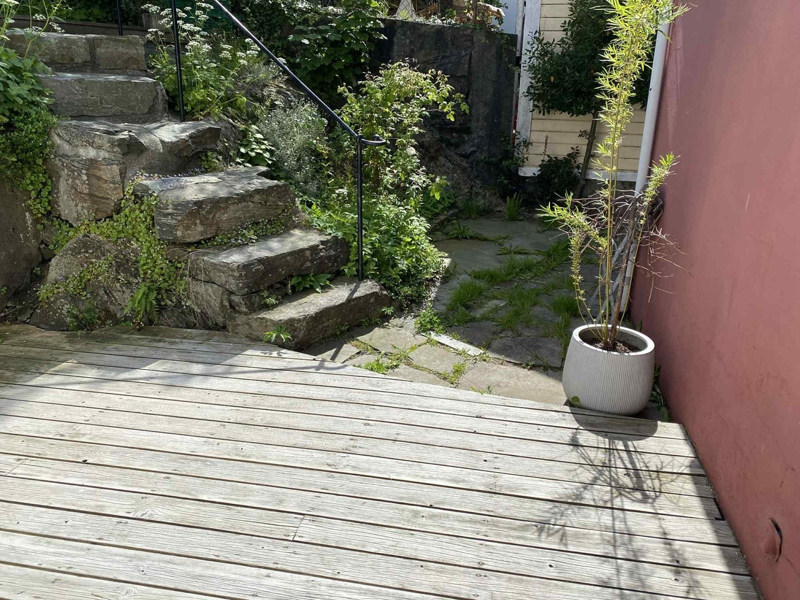 Selgers bilde. Galleribilde