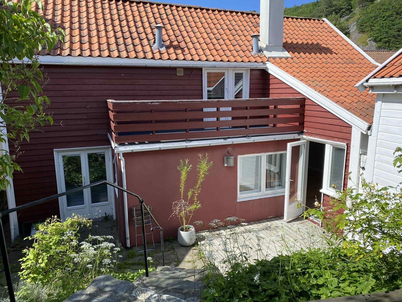 Eiers private sommerbilder. Galleribilde