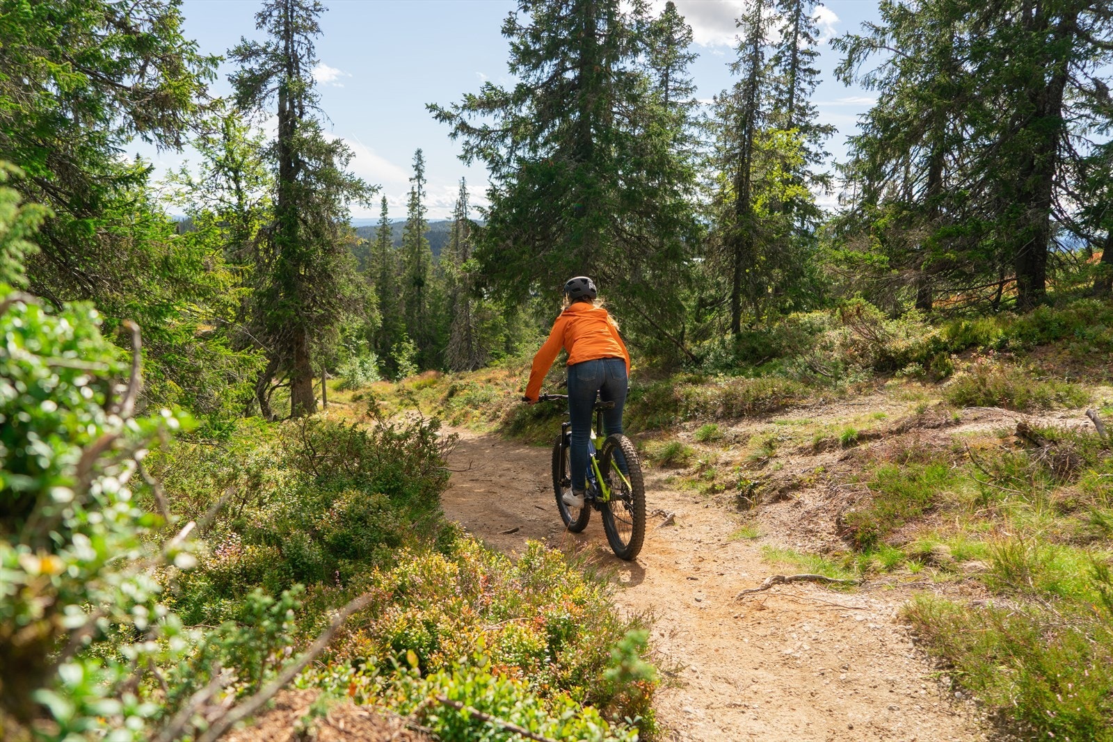 Utenfor skisesongen byr Noresund fjordpark på herlig sykkelturer! Galleribilde