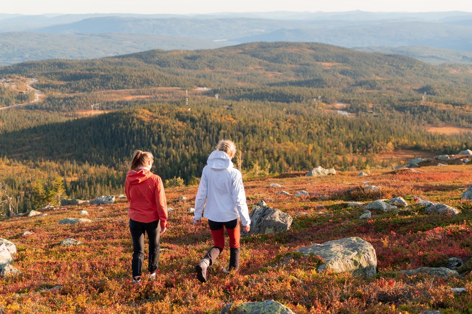 Naturskjønt og rolig året rundt Galleribilde