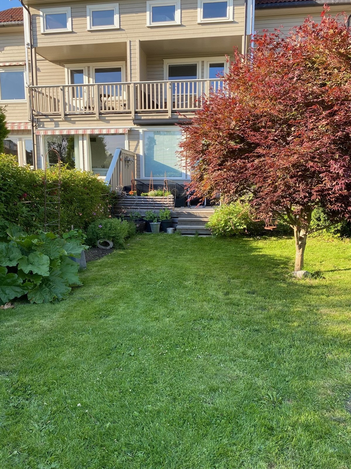 Uteplass sommer .jpg Galleribilde