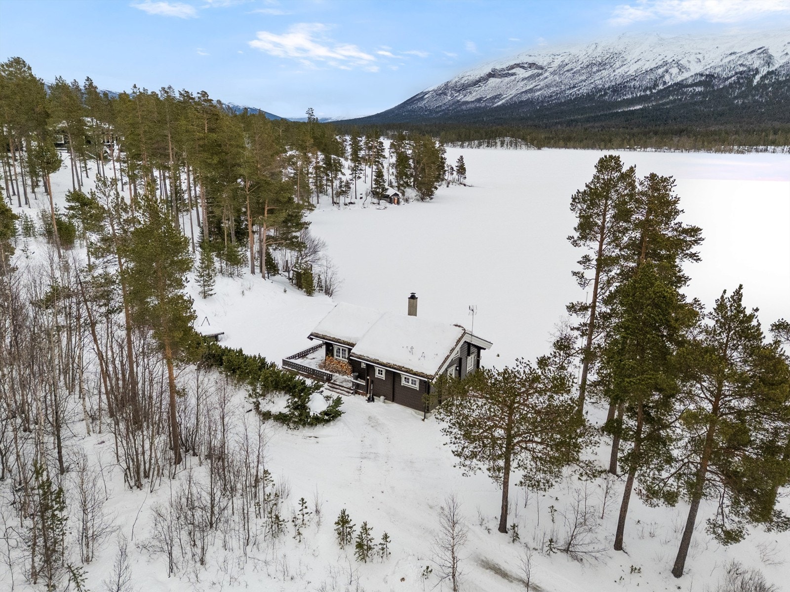 Oversiktsbilde Galleribilde