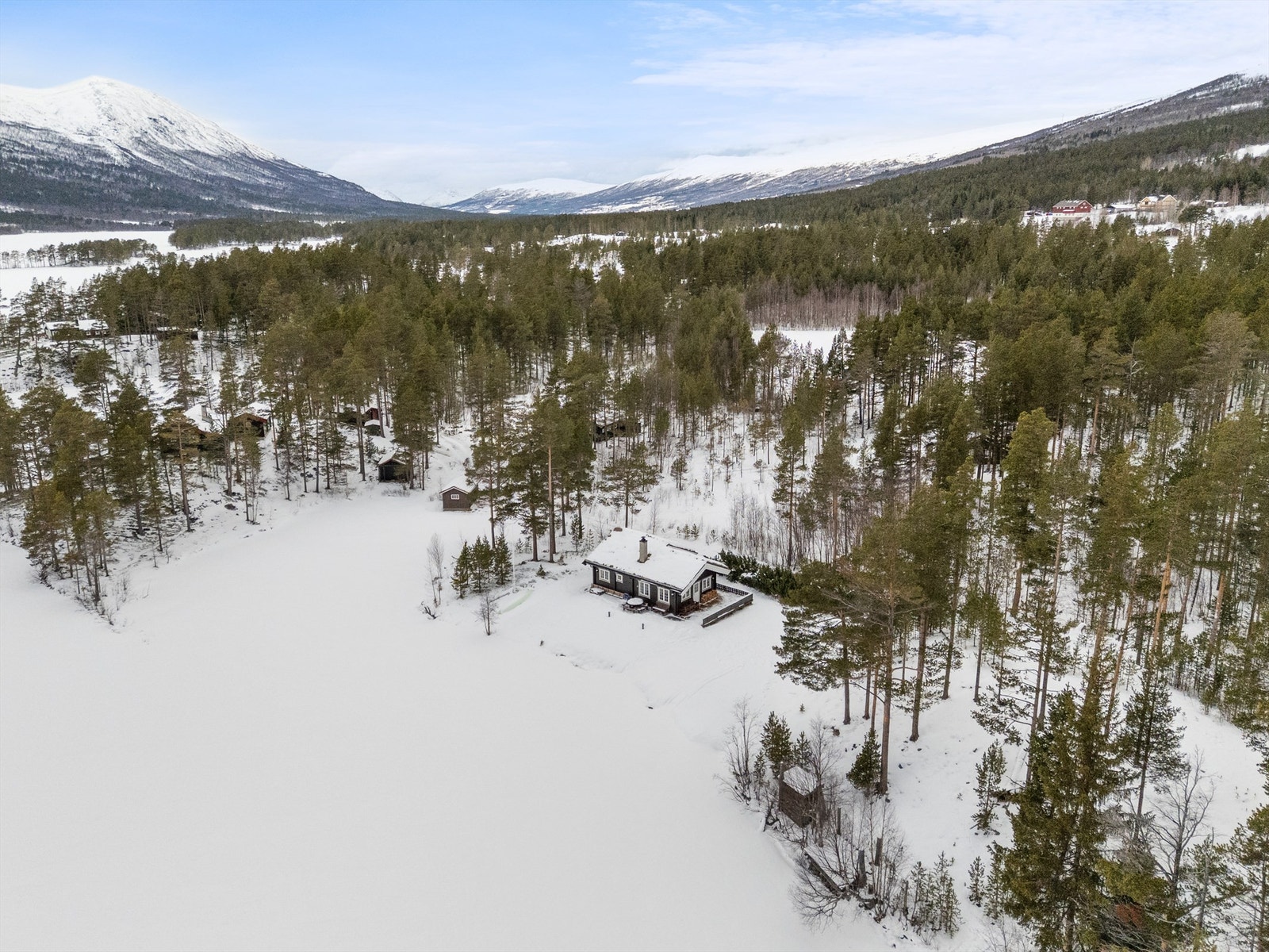 Oversiktsbilde Galleribilde