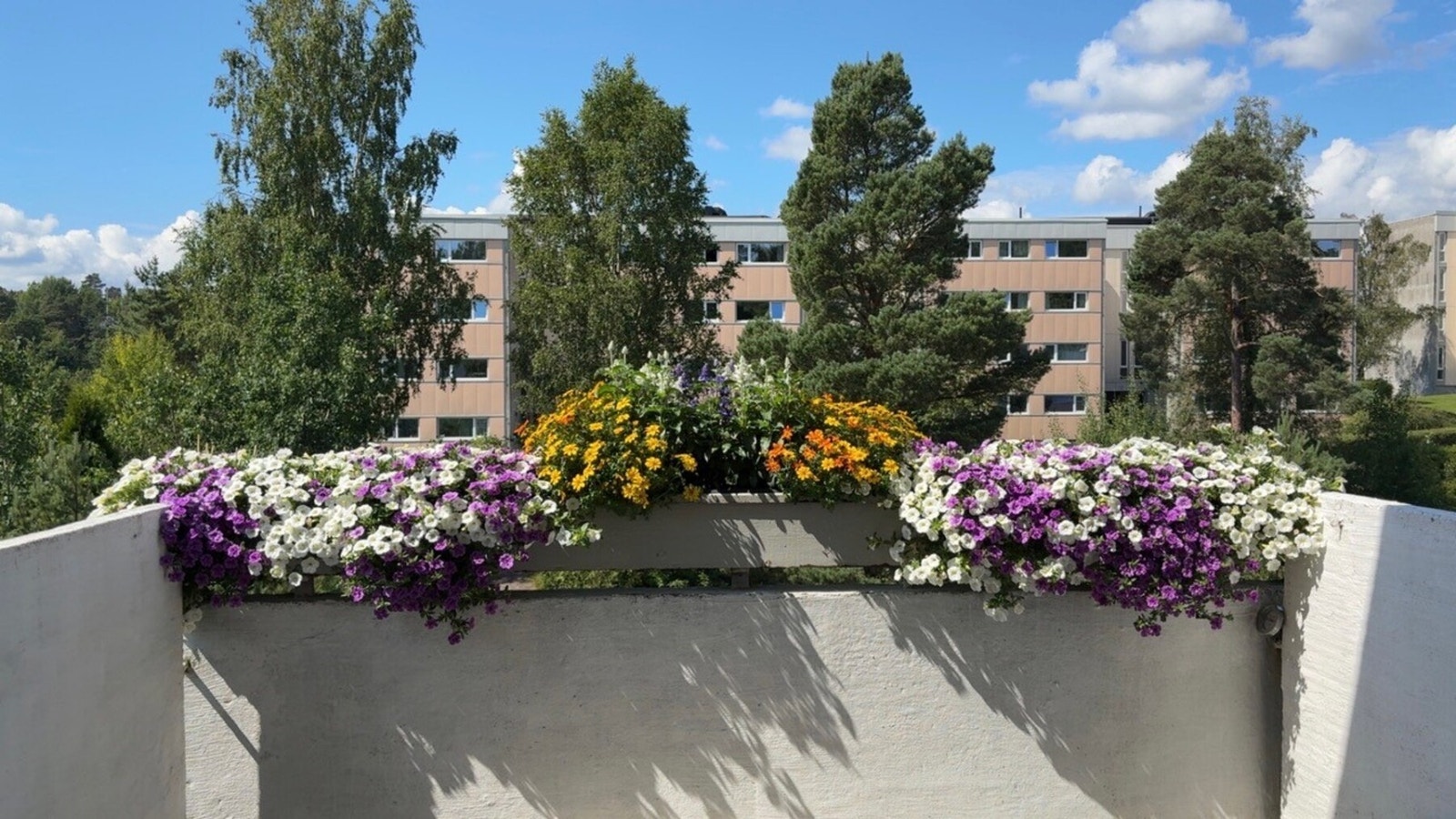 Selgers stemningsbilde fra verandaen på sommeren med fine blomsterkasser Galleribilde