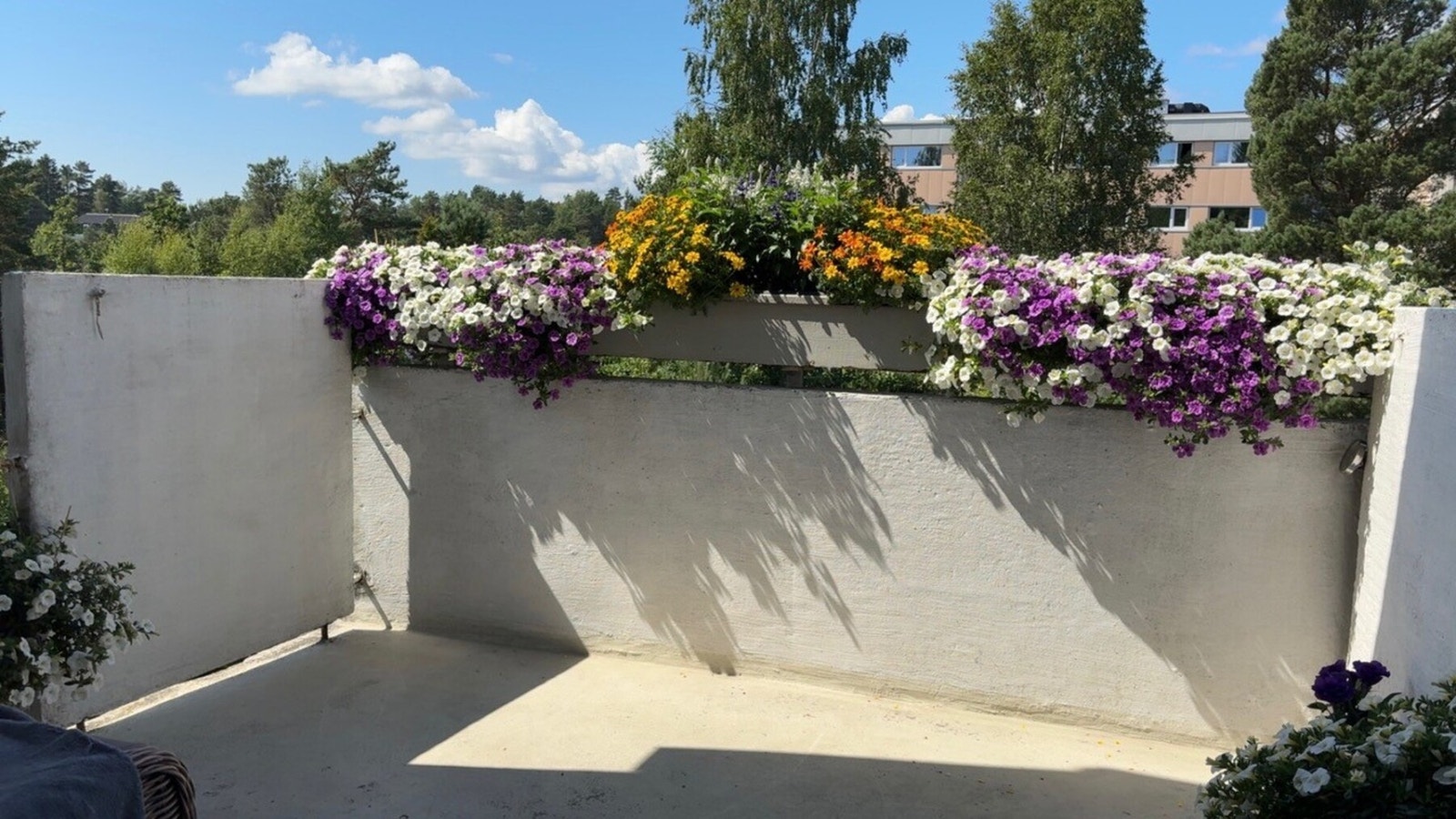 Selgers stemningsbilde fra verandaen på sommeren Galleribilde