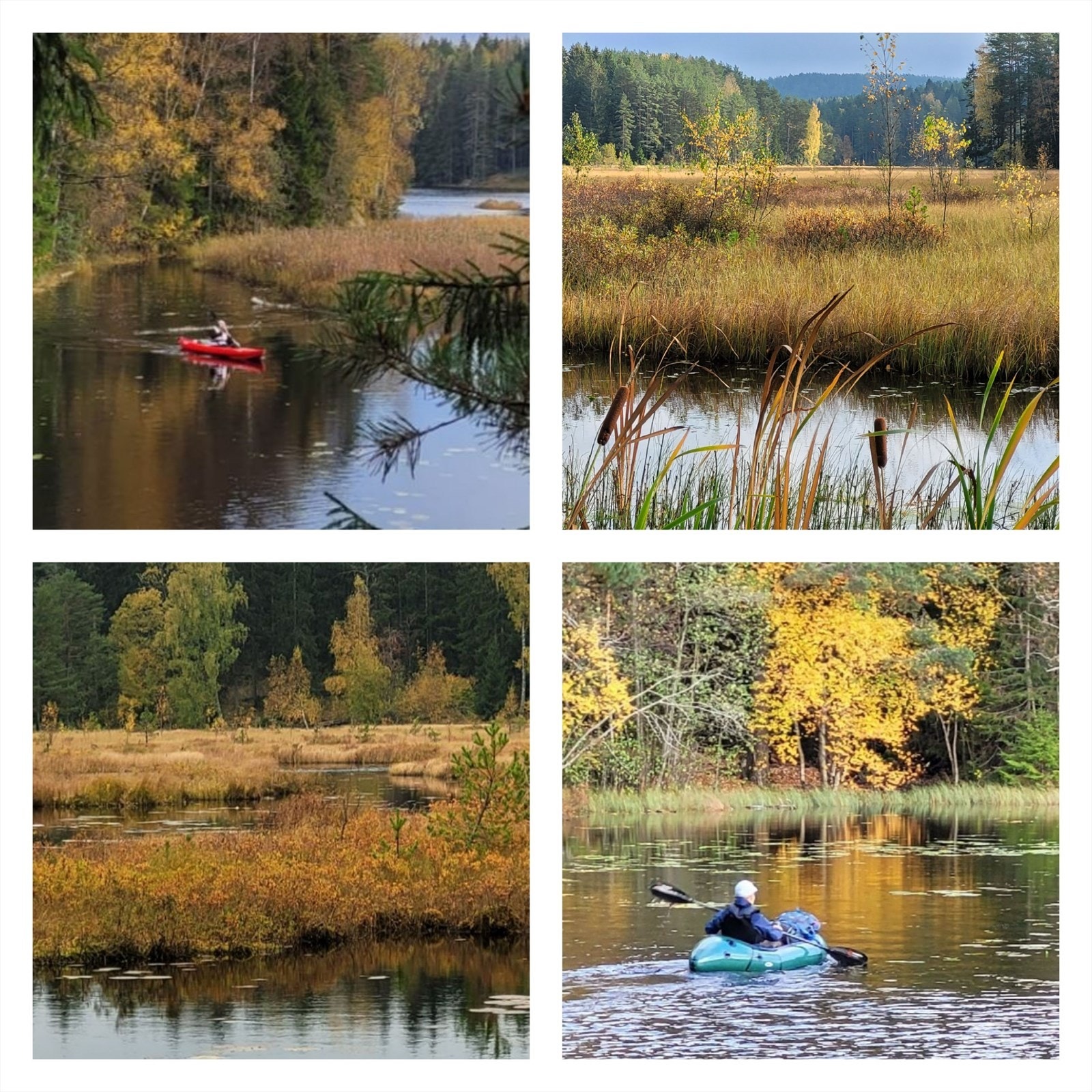 Alle bør prøve å padle eller ro gjennom våtmarksområdene inn mot Sørli gård! Her er det flust av farger, flora og fauna, og alle lyder dempes slik at du føler at du er langt, langt unna, et helt annet sted. Galleribilde