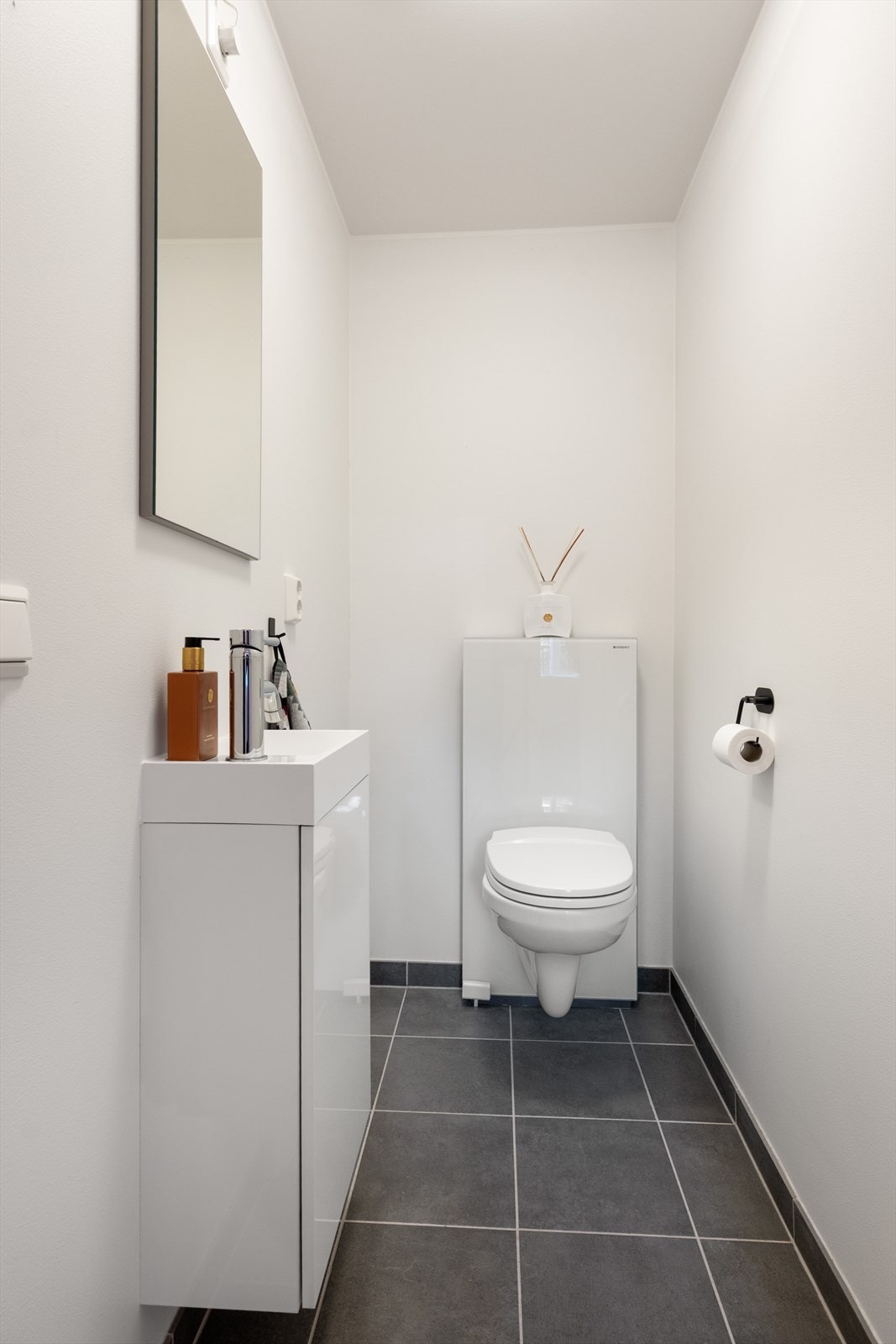 Ekstra toalettrom. Galleribilde