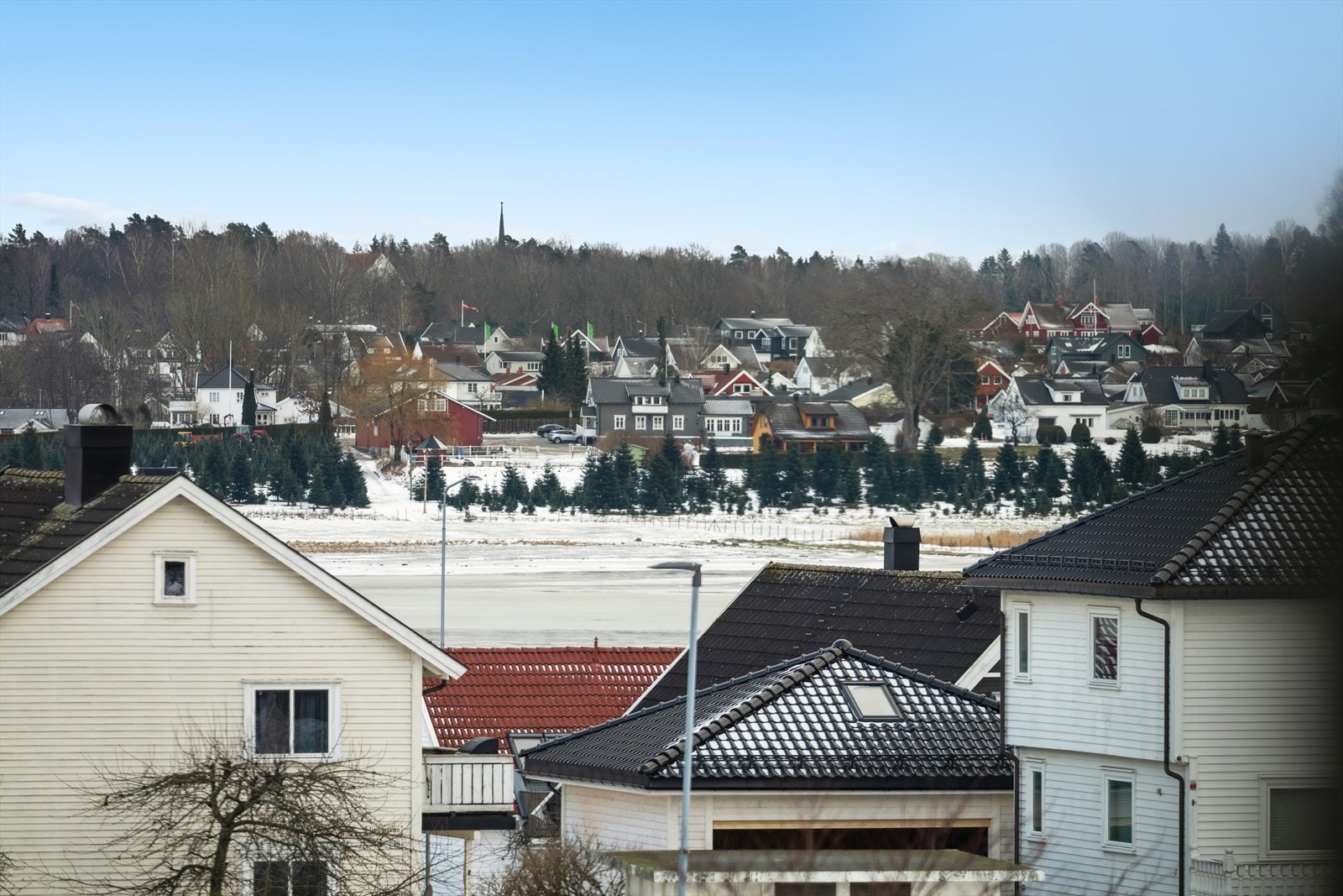 Utsikt mot nærområdet. Galleribilde