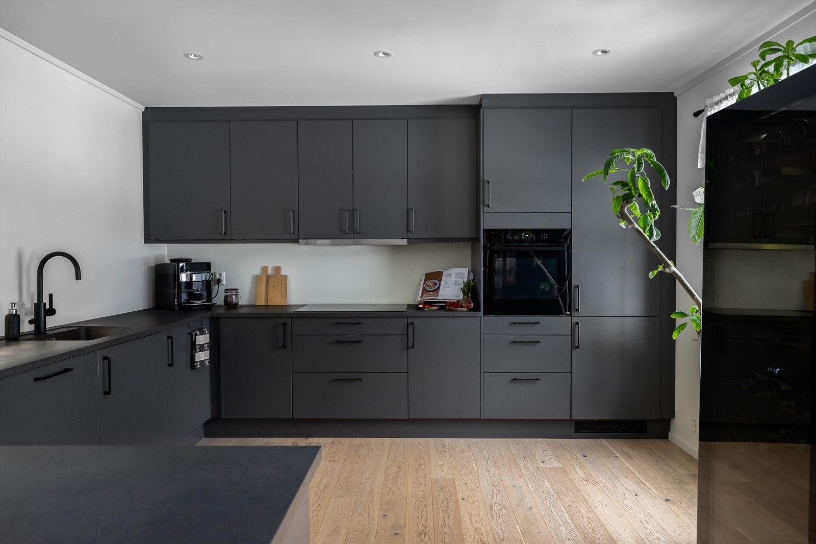 Kjøkkenet er utstyrt med en ventilator med avtrekk ut. Galleribilde