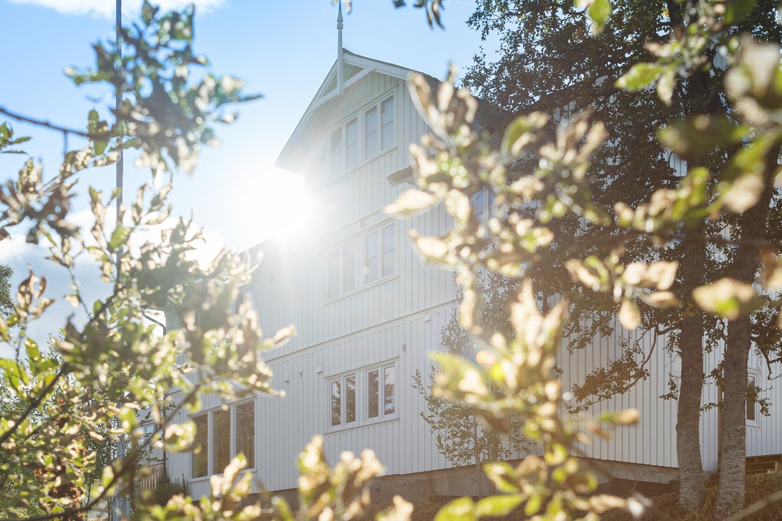 Stor eierseksjon med sentral og attraktiv beliggenhet. Kort avstand til barnehage, skole og lekeplass.
