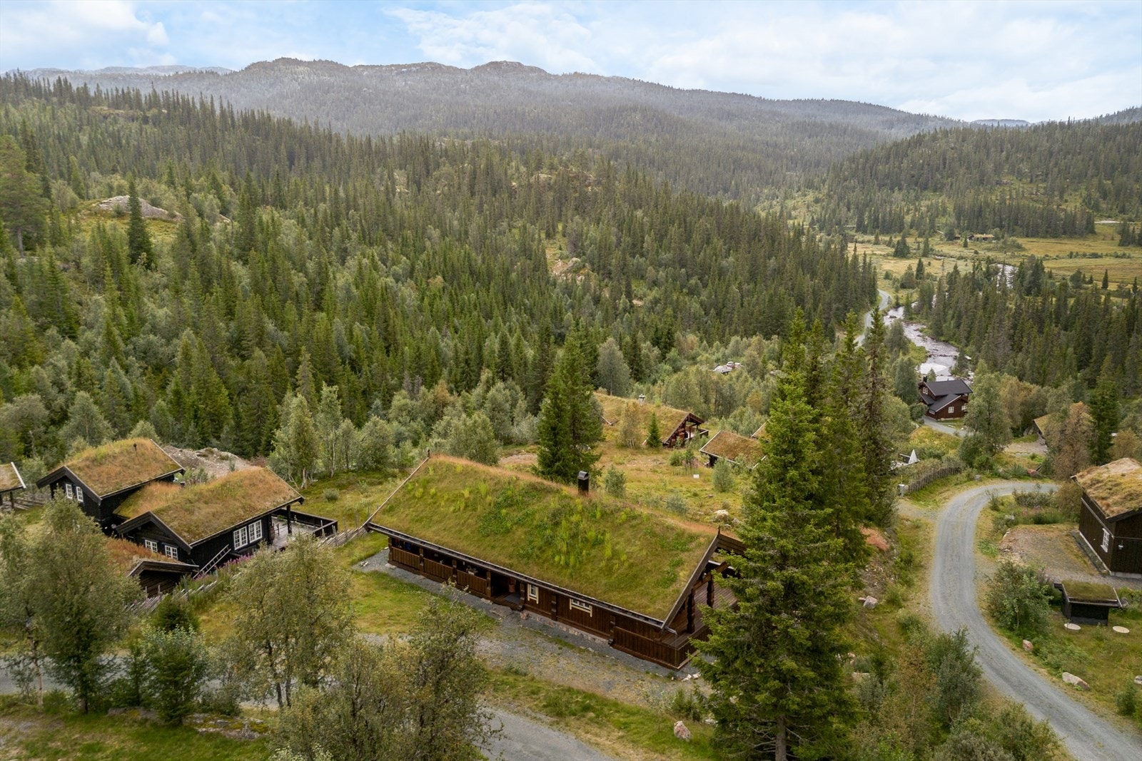 Gruset kjørevei i hyttefeltet, med gruset innkjørsel til hytta. Enkel støttemur av naturstein langs innkjørsel.. Galleribilde