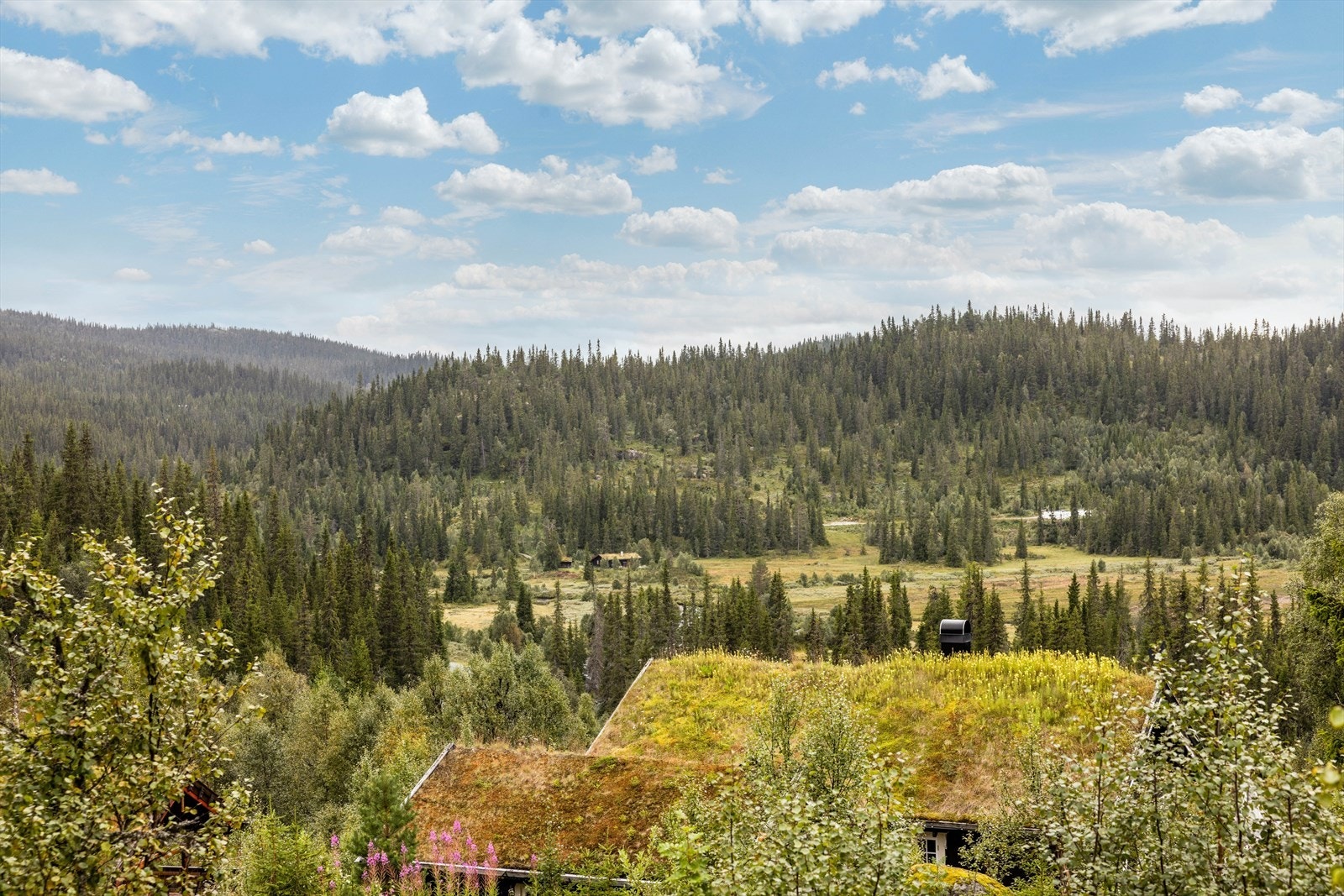 Hyttefeltet er godt etablert og barnevennlig, beliggende i naturskjønne omgivelser ved Kvambekk. Gode solforhold og nydelig utsikt! Galleribilde